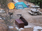 bear at camp
