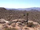 Great Desert View