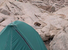 marmot behind tent